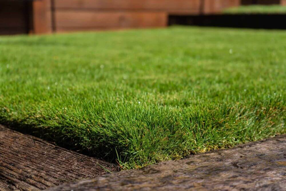 Zoysia sod-dunnco-installation-sod install-grass installation-Fayetteville ar- Bentonville Ar-Springdale Ar